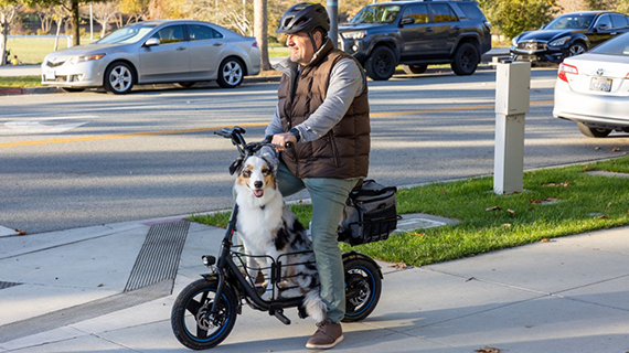 Commuter/Mid Level Scooters