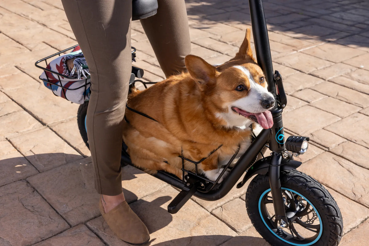 How to Secure Electric Scooter: Essential Tips for Theft Prevention