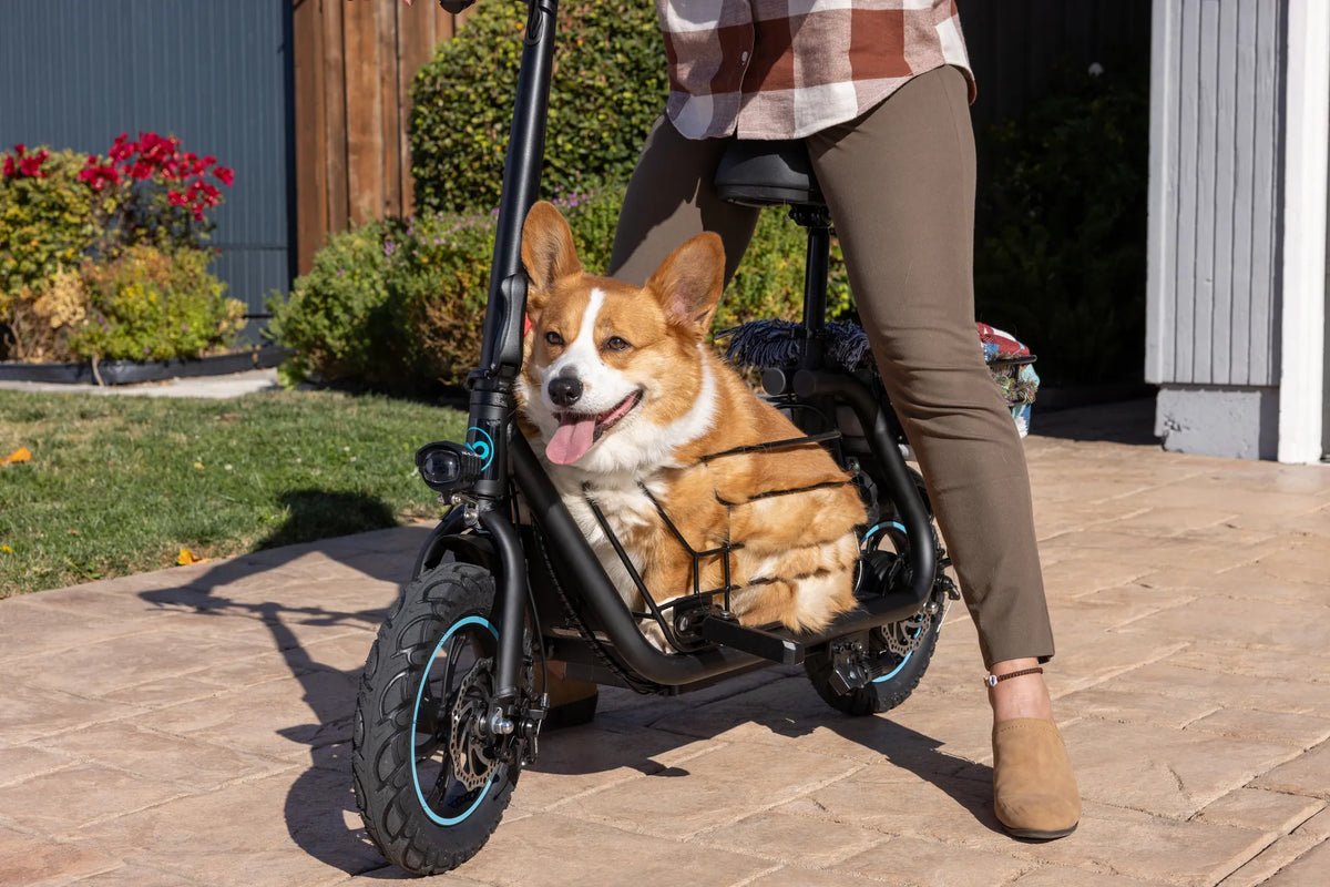 Lime Scooter Age: Understanding the Rules and Safety Guidelines