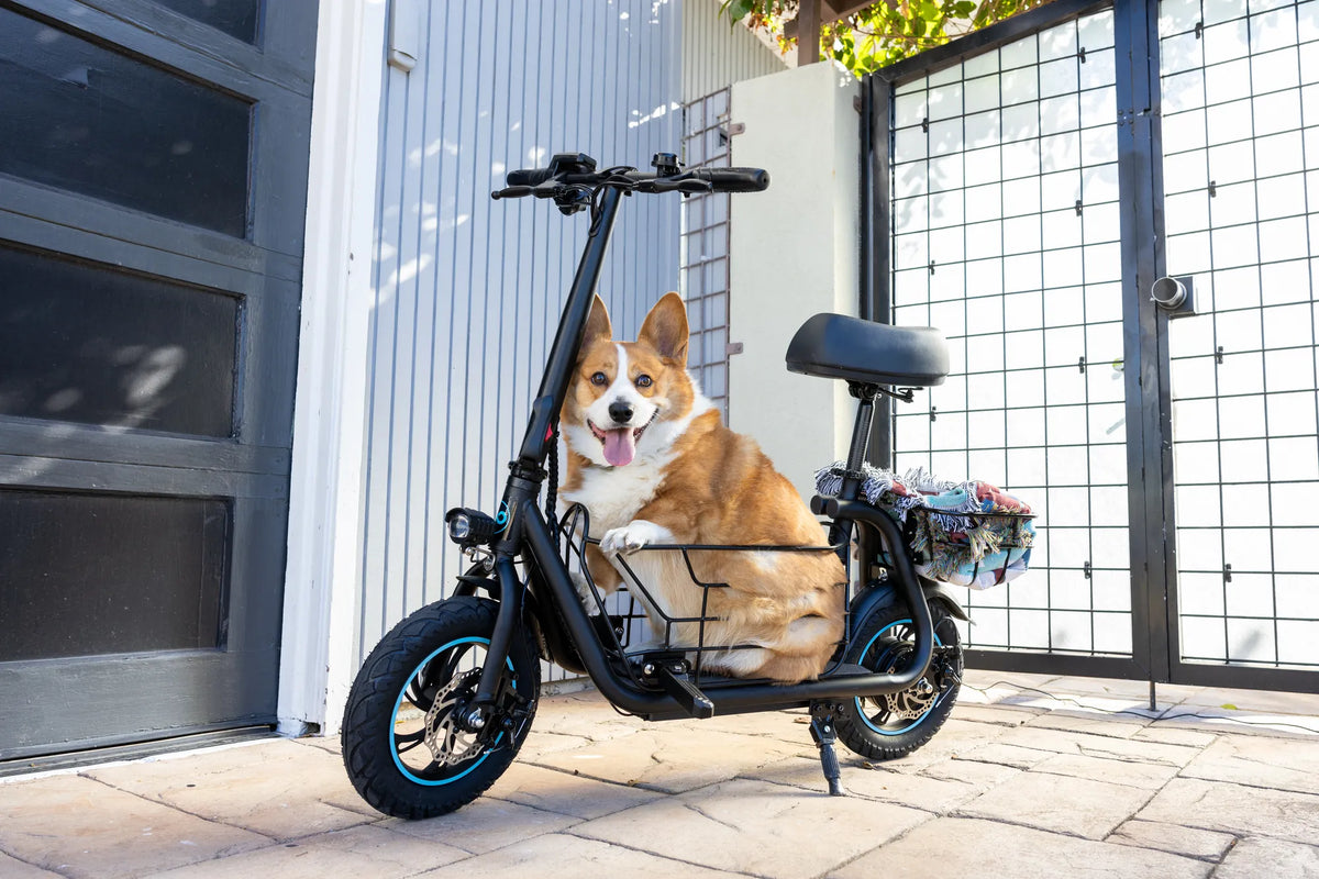 Best 150 cc Scooter: The Ultimate Guide to Urban Mobility