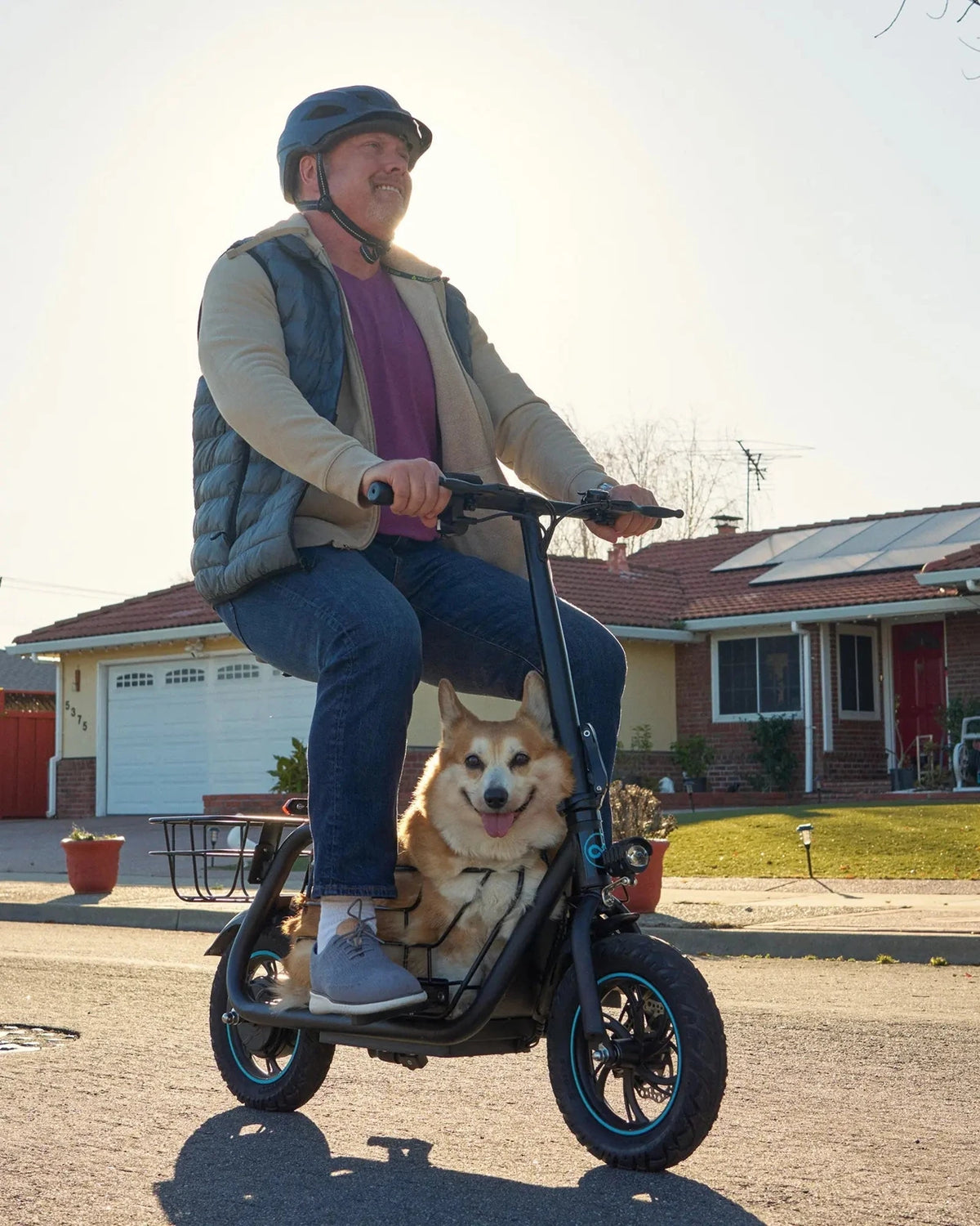 Helmeted rider on a Gyroor C1S with a corgi in the large center basket