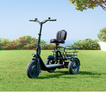 What is the best rated electric tricycle?