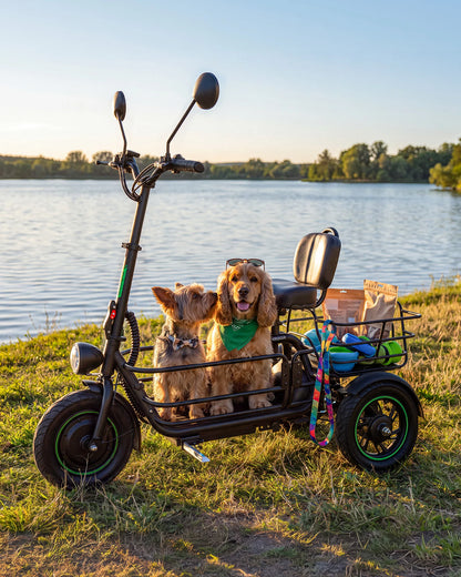 Gyroor C5Pro Electric Trike – 1000W Peak, 30-Mile Range & Large Cargo Basket
