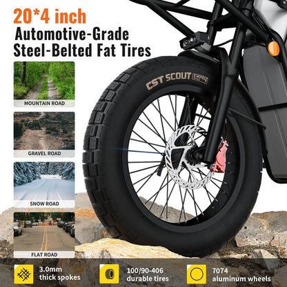 off-road Electric Cargo Bike for Adults 20*4inch