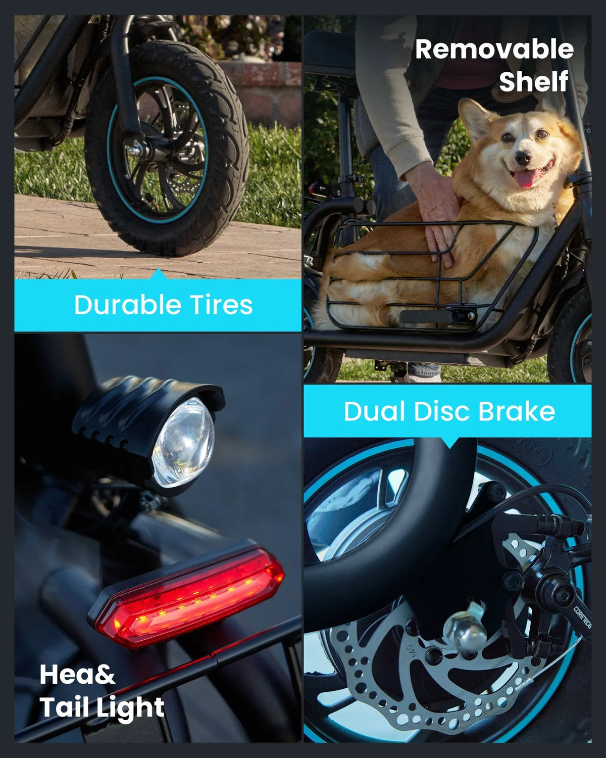 electric scooter durable tires front and rear lights removable shelf dual disc brakes safety system