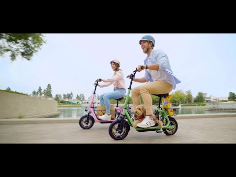 electric scooter video showcasing pets and cargo transport with comfort and performance features