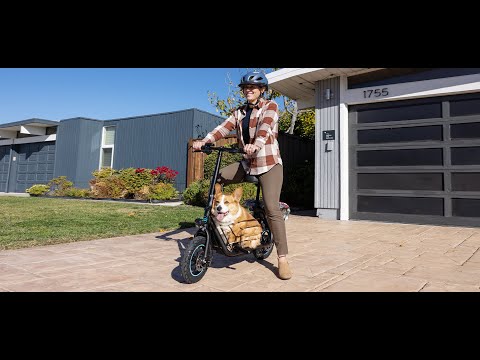 Gyroor C1s Foldable Electric Scooter with Large Middle Basket for Pets & Cargo video