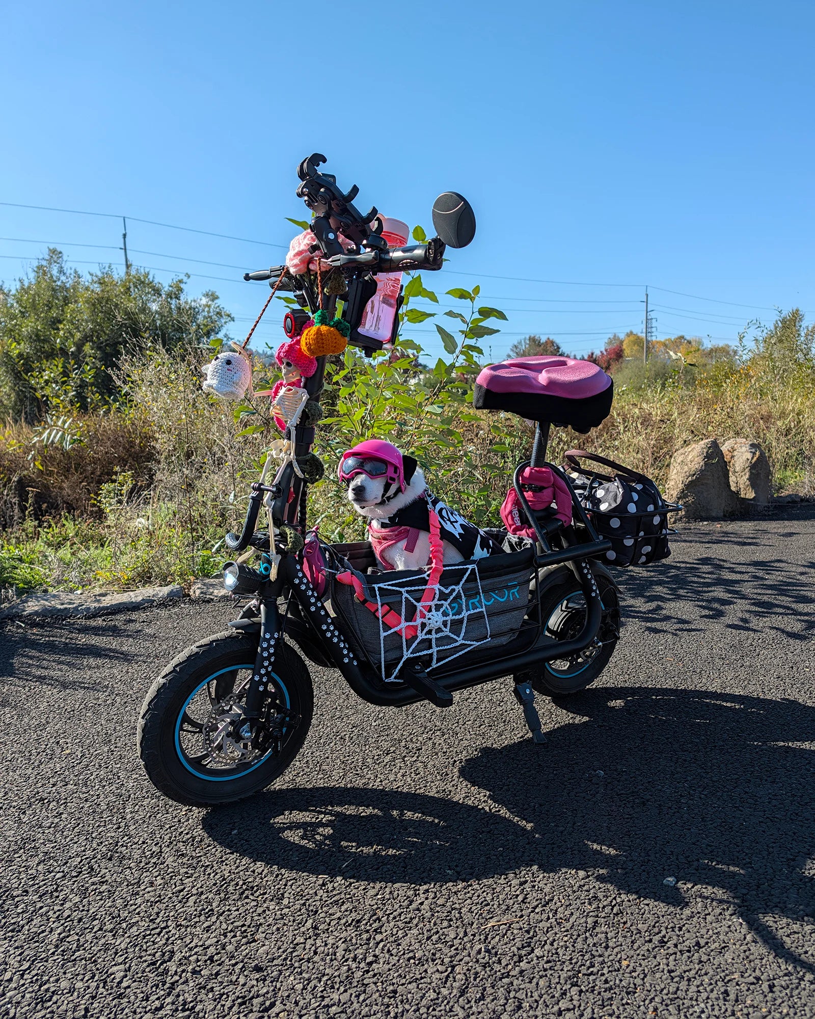 <tc>Gyroor</tc> Trottinette électrique C1S 800 W (crête) avec panier avant et arrière amovible