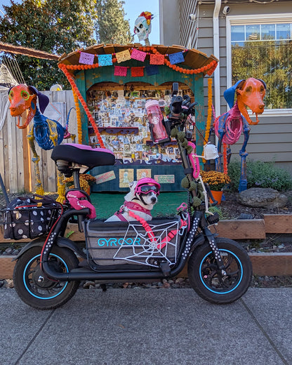 Gyroor C1S Electric Scooter – 800W(Peak),Front & Rear Baskets